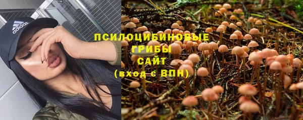 ALPHA-PVP Бугульма