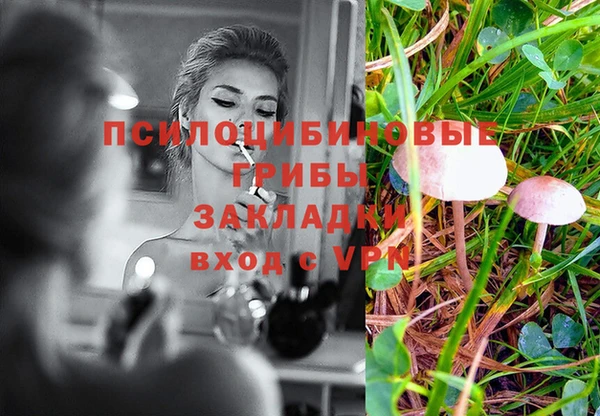 трава Верхний Тагил